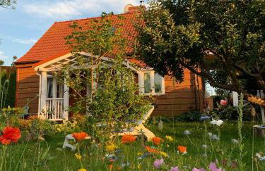 Ferienhaus Storchenwiese, Wald, Strand, Natur - Foto 19