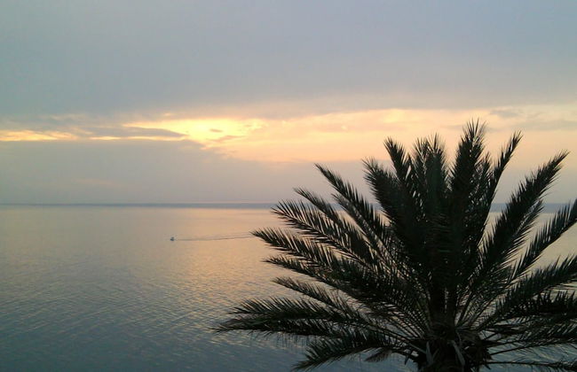 Room-michelangelo House, Mono - Foto 37