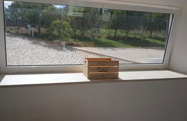 Monte Papa Figos - Foto 30