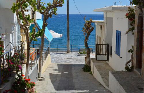 Paradise Studios - Foto 70