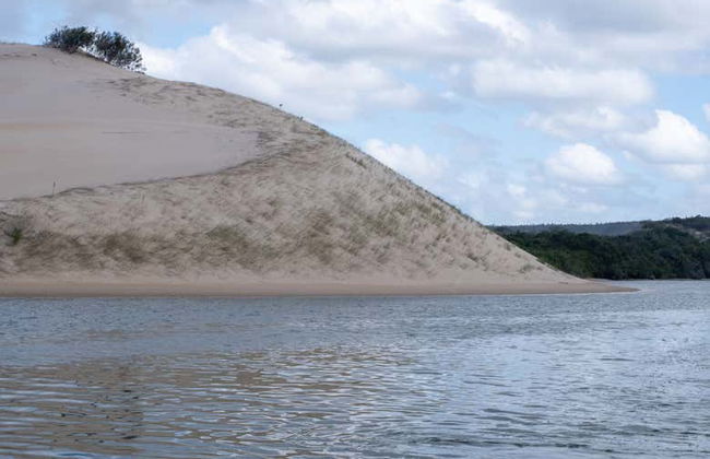 Tour en kayak por el río Sundays - Foto 4