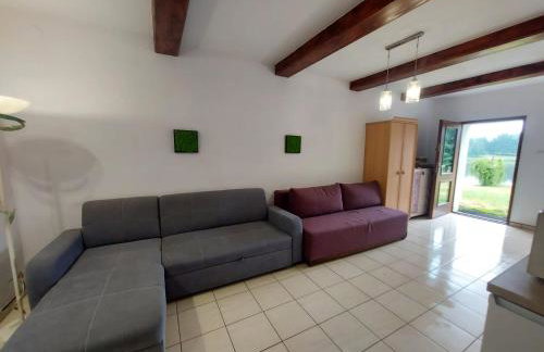 Mieszkanie nad jeziorem Rydzówka+prywatny staw+plaża+Mazury - Foto 25