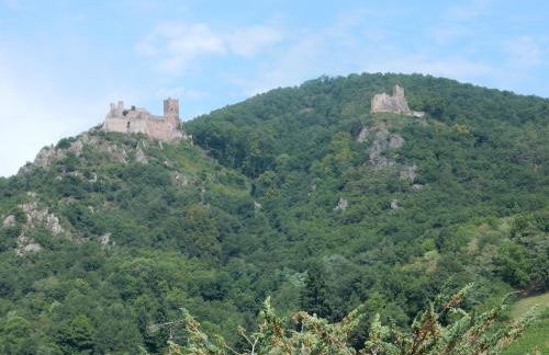 GITE KIENTZLER - Foto 8