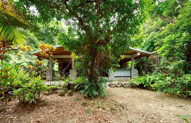 Citrus Creek Plantation - Photo 33