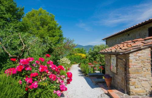 Apartment Il Borghetto-1 by Interhome - Foto 13