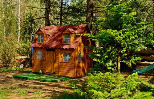 Mazury - Giżycko - Harsz - Domki - ApartMazury Osada - Foto 28