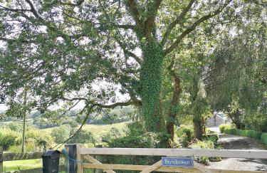 3 Bed in Llangadfan oc-wae284 - Photo 33