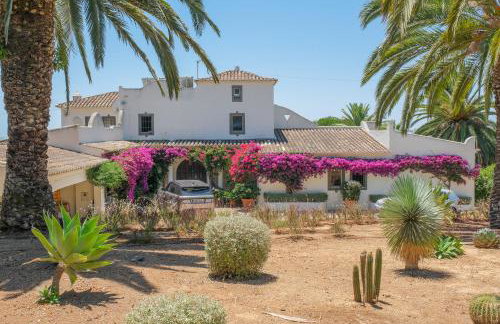 Casa das Flores - Foto 24