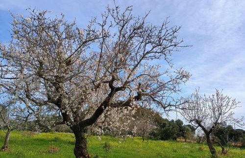 Dimora Lama Cerase - Foto 13