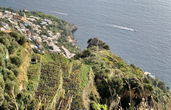 Tenuta Novecento Bio Agriturismo - Foto 64