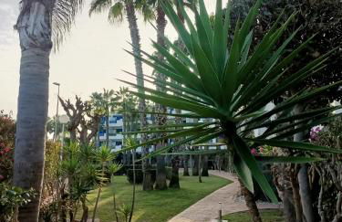 APARTMENT PALMAS DE COCO - Foto 29