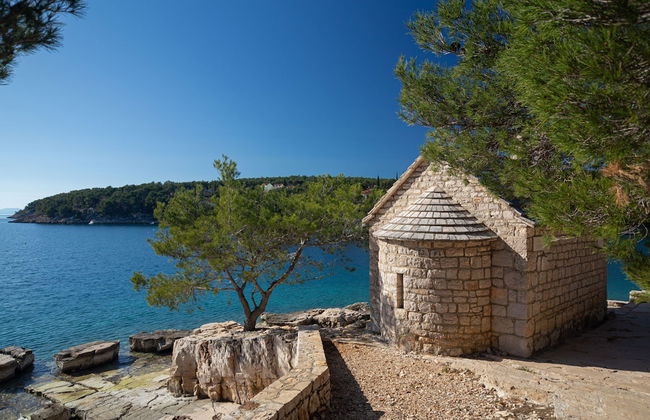 Olive Eden - Foto 22