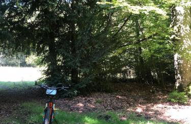 Modernes und behagliches Einliegerapartment, 50 qm-deine Ruheoase- - Foto 21