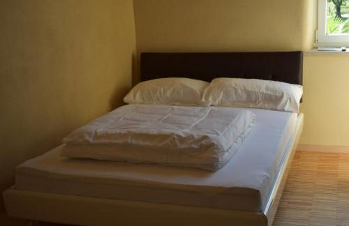 Palmengarten - Foto 52