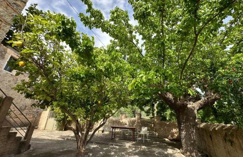 Πυργοσπιτο Χαντζακου - Foto 17