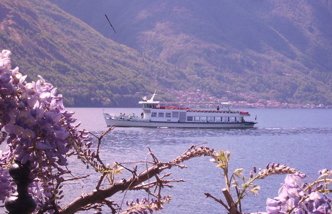 Azalea & Glicine House - Foto 59