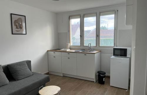 Appartements proches CDG Le Bourget dans maison francilienne typique - Foto 11