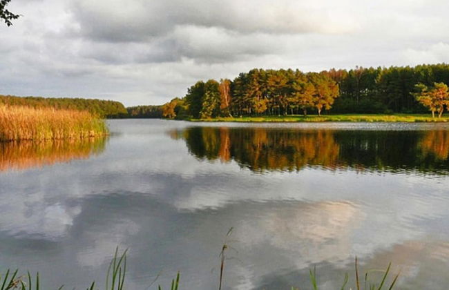 Holiday Home by Lake Rosnowskie With Boat - Photo 25
