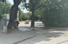 Terrazza sul mare - Foto 3