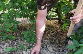 La casa dei nonni - Foto 19