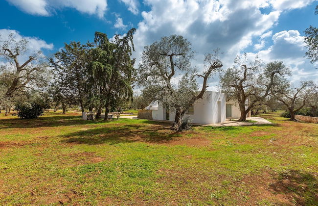 2770 Uliveto Valeria - Trullo Melograno by Perle di Puglia - Foto 35