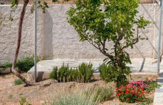 Captain View - Foto 55