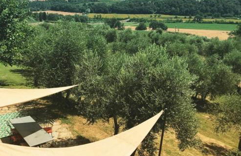 PodereCasello Vicodarbia Siena - Foto 8