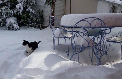 L'Esprit du Bois - Foto 26