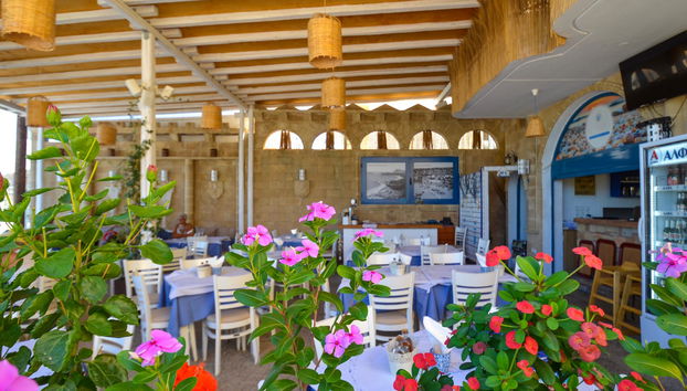 Stegna Star - Foto 4