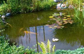 Ferienwohnung Dernbecher - Foto 14