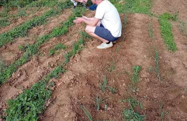 Agroturizam Podastrana - Foto 48