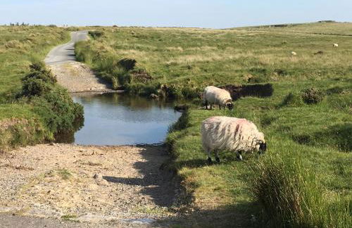 Meadow Sweet Cottage - Photo 62