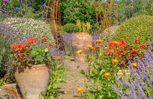 Lighthouse Watch - Photo 38