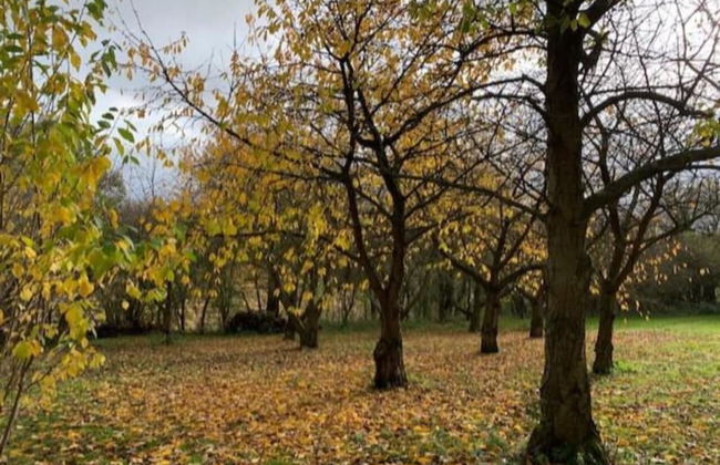 Truly Kentish Holiday Lets - Photo 78