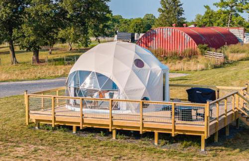 Faraway Geodome with Views - Photo 11