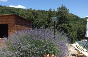 Podere La Castellina - Foto 28