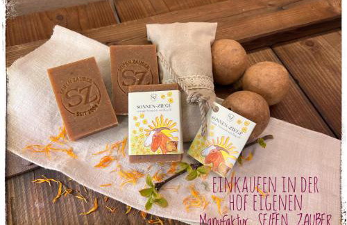 Ferienhaus Buren-Hof - Foto 29