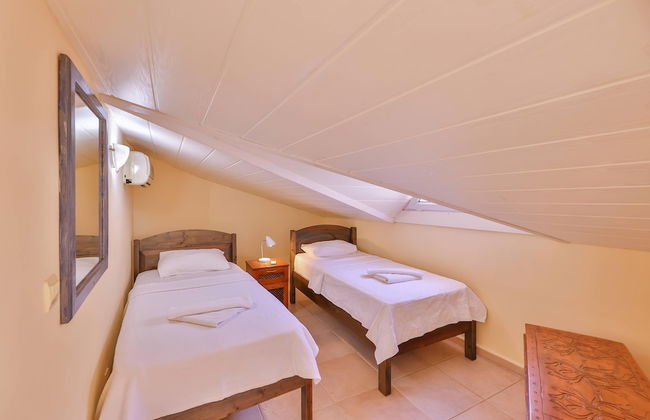 Kale Apart - Foto 15