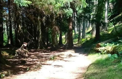 Grouse Lodge - Foto 9