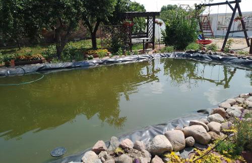 Gospodarstwo agroturystyczne - Foto 50