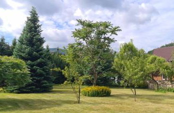 Willa Matylda Karpacz - Foto 6