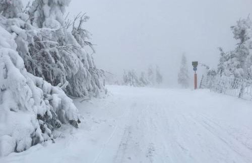 Fewo-Michi - Foto 14