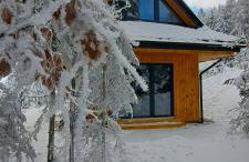 Domki Krynica - Foto 9