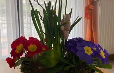 Ferienwohnung 1 Am Petersberg - Photo 6