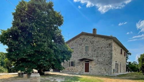 Podere Ainzara - Foto 4