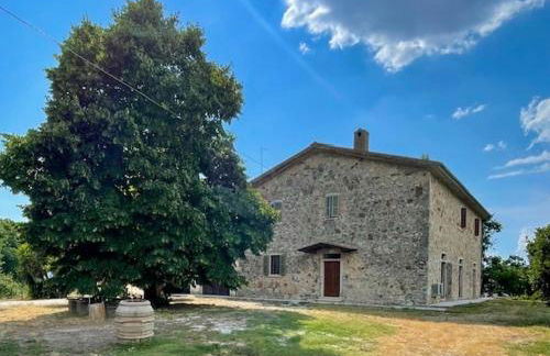 Podere Ainzara - Foto 4