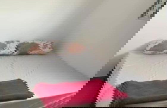 Condomínio / Apartamentos / Flat em São Paulo bairro Tucuruvi Zona norte - Foto 36