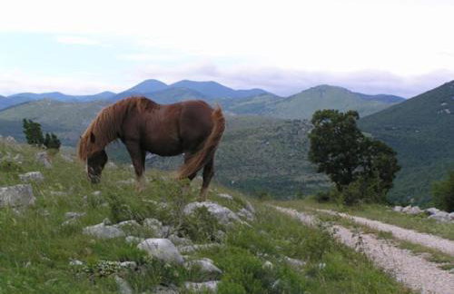 Mare & Bartol - Foto 36