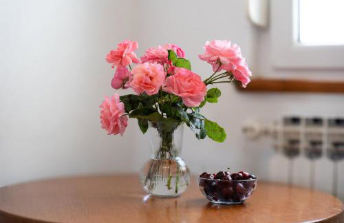 Apartments Ždravac - Photo 39