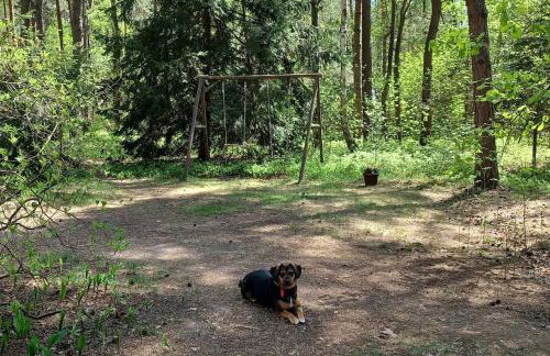 Wilga - urokliwy dom z bala (50 km od Warszawy) - Foto 22